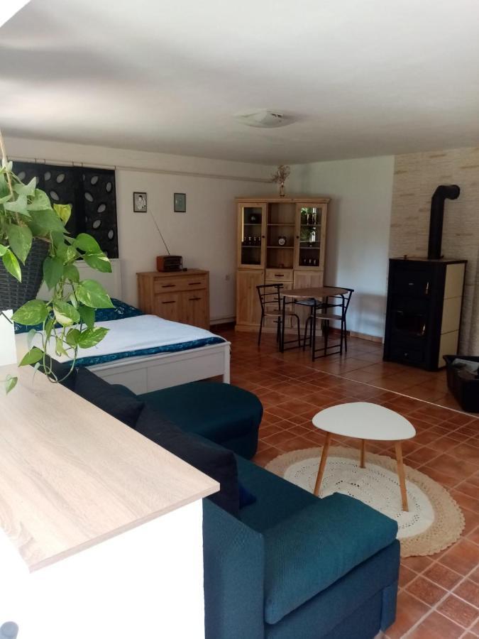 Apartman Ivana Apartment Rumburk Ngoại thất bức ảnh